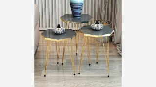 SG 1001 (Antrasit) Jurnal Masa