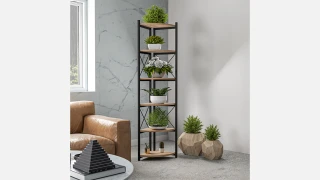 6025 (Atlantik) Kitab Rəfi