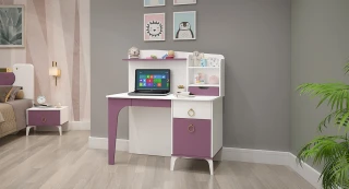 Lora Kompyuter masası