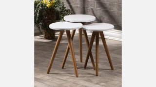 1012 (Ağ) Jurnal Masa