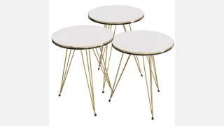 1040 (Ağ) Jurnal Masa